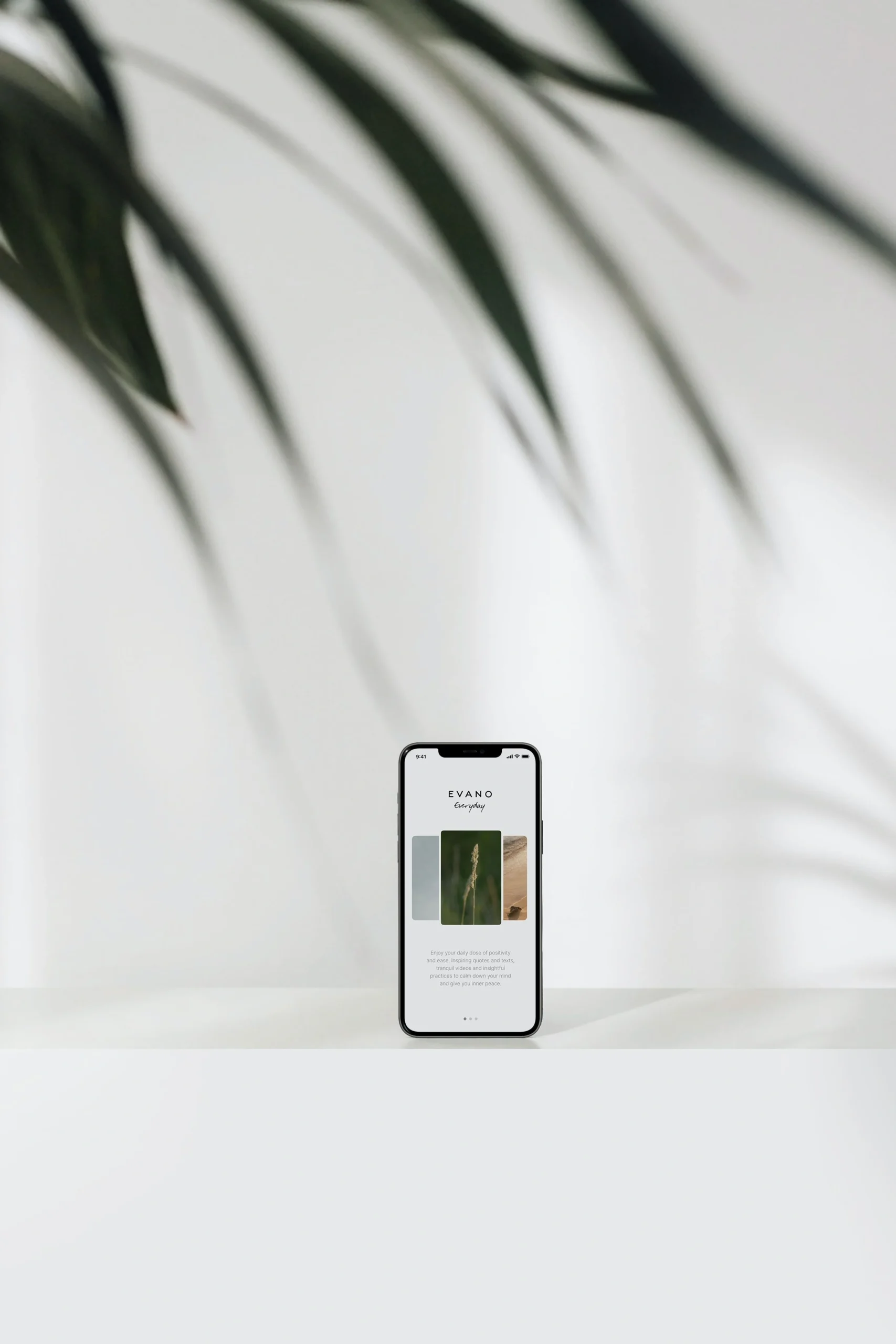 mobile friendly website